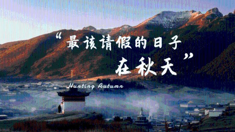 森系丛林