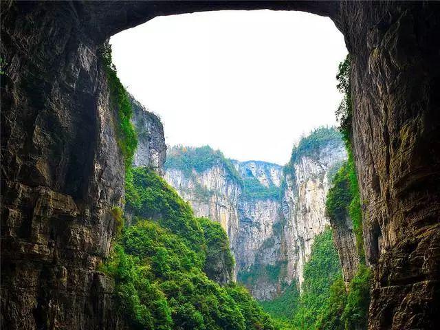 电影版《花千骨》为什么没有观众缘